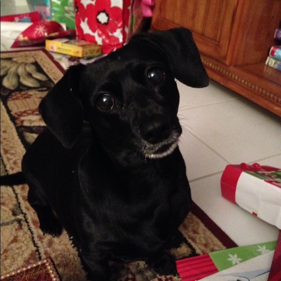 Meet your Posher, Geri - Picture 1 of 1